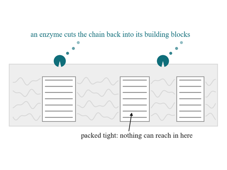 From the brief: an enzyme cutting the loose, tangled parts of a plastic, while the tightly packed crystals stay out of reach.